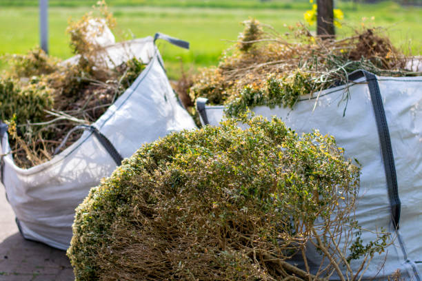 Best Garage Cleanout  in Lovelock, NV